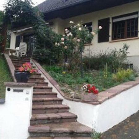 B&B Ma Maison Hautes Vosges Ranspach Εξωτερικό φωτογραφία