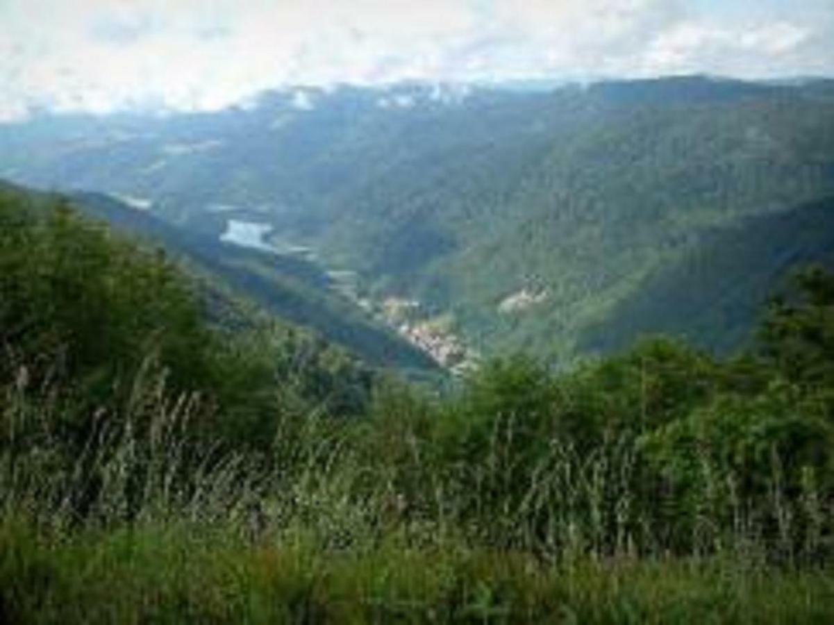B&B Ma Maison Hautes Vosges Ranspach Εξωτερικό φωτογραφία