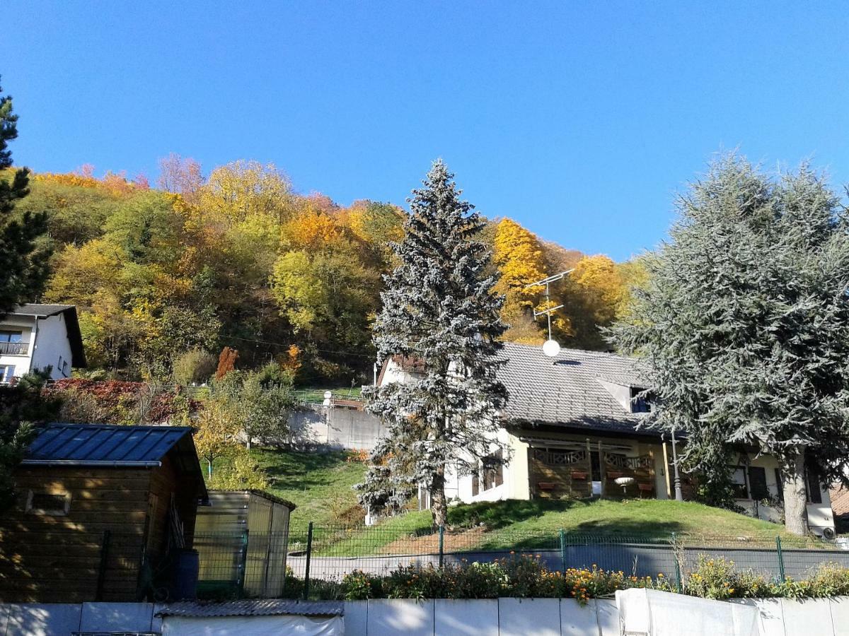 B&B Ma Maison Hautes Vosges Ranspach Δωμάτιο φωτογραφία